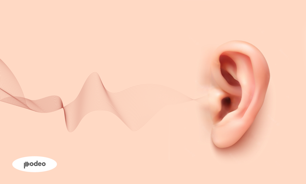 حاسة السمع… هل يمكننا العيش بدونها؟
