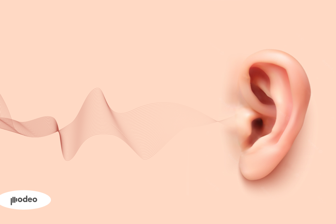  حاسة السمع… هل يمكننا العيش بدونها؟